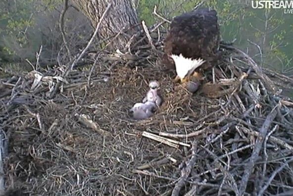 ScreenHunter_03 Mar. 29 20.17.jpg